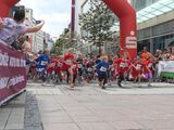 Hornbach-Citylauf-07-0001.jpg