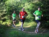 IMG_6291.jpg
