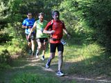 IMG_6296.jpg