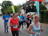Sanderlauf-2016--0029.jpg