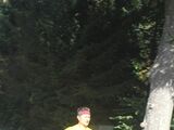 Sanderlauf-Wendepunkt-0026.jpg