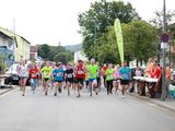 Sanderlauf-2016--0024.jpg
