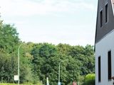Sanderlauf-2016--0156.jpg