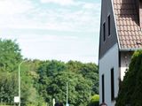 Sanderlauf-2016--0198.jpg