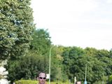 Sanderlauf-2016--0222.jpg