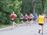 alb5_img401.jpg