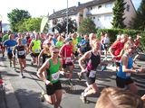 Sanderlauf-0016.jpg
