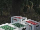 Sanderlauf-Making-Of-0015.jpg