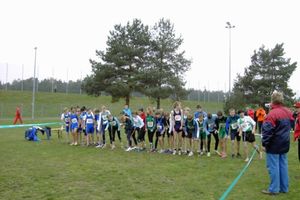 alb34_img1023.jpg