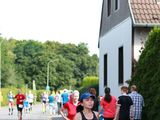 Sanderlauf-2016--0278.jpg