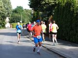 Sanderlauf-2016--0306.jpg