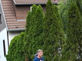 Sander-Strassenlauf-2018-0218.jpg