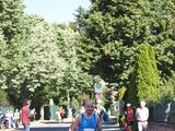 Sanderlauf-0118.jpg