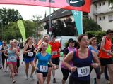 Sanderlauf-2016--0028.jpg