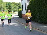 Sanderlauf-2016--0220.jpg