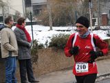 kottweiler_2014_102.jpg