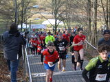 IMG_8600.JPG