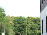 Sanderlauf-2016--0086.jpg