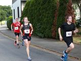 Sanderlauf-2016--0113.jpg