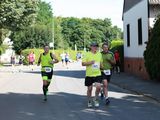 Sanderlauf-2016--0329.jpg