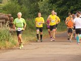 Sanderlauf-Wendepunkt-0046_0002.jpg