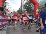 Hornbach-Citylauf-09-0003.jpg