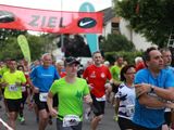 Sanderlauf-2016--0019.jpg