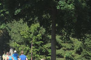 Sanderlauf-Wendepunkt-0044.jpg