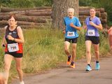 Sanderlauf-Wendepunkt-0084_0002.jpg
