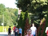 Sanderlauf-2016--0315.jpg