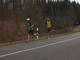 TSG-Halbmarathon-2015-0016.jpg