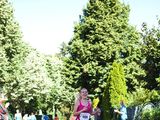 Sanderlauf-0281.jpg