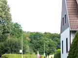 Sanderlauf-2016--0034.jpg