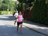 Sanderlauf-2016--0311.jpg