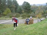 alb34_img1039.jpg