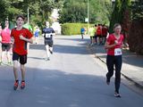 Sanderlauf-2016--0308.jpg