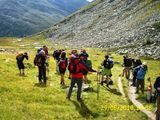 alb4_img363.jpg