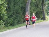 alb5_img392.jpg