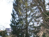 IMG_8626.JPG