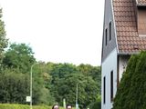 Sanderlauf-2016--0062.jpg
