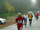 alb8_img618.jpg