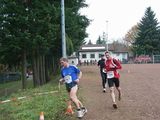 alb9_img690.jpg